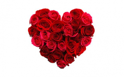 valentines-day-roser.jpg